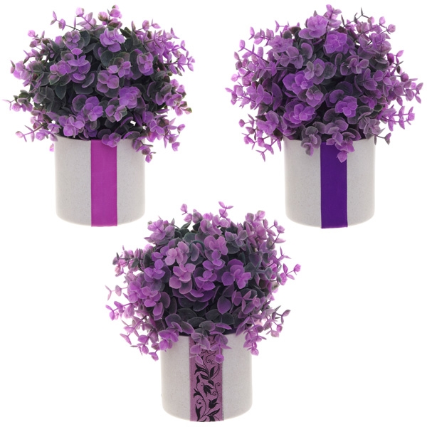 Цветы и растения